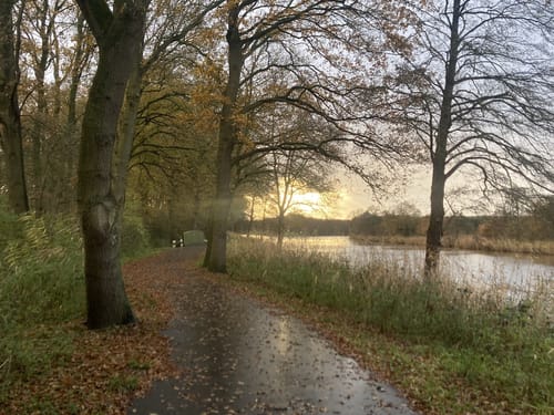 Wanderweg W14: Lathen - Oberlangen - Niederlangen