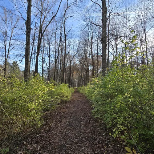 Hueston woods mountain bike trails clearance