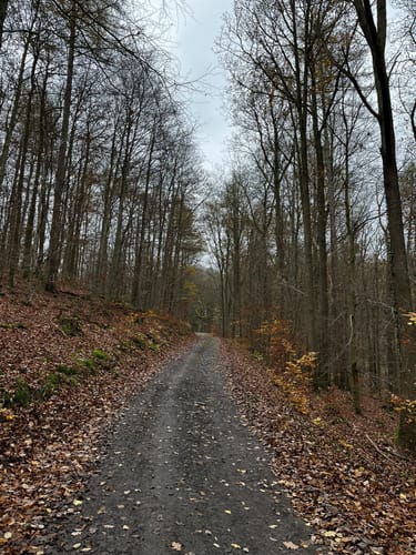 Söder Runde