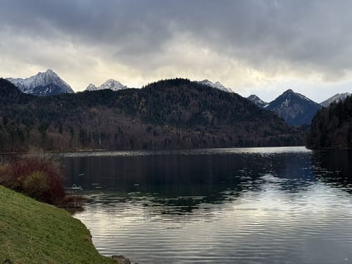 Alpsee Rundweg