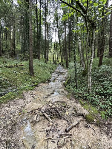 Von Bernau zur Seiseralm