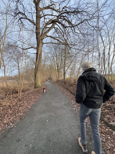 Um den Ivenacker See