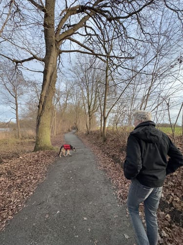 Um den Ivenacker See