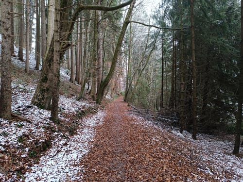 Burghölzl-Runde
