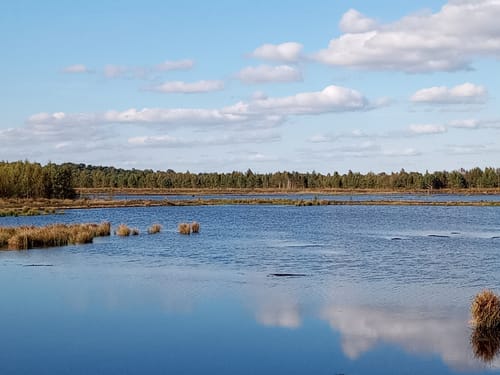 Nordpfad Kempowskis Idylle