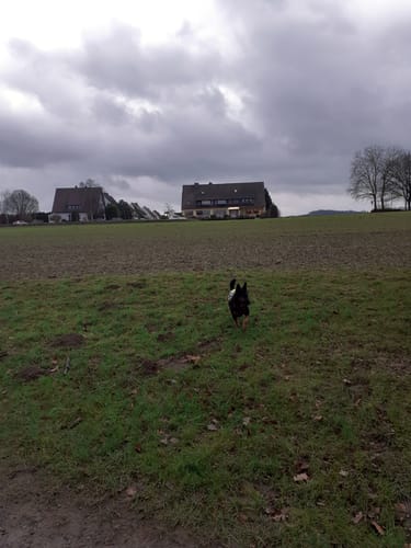 Bad Oeynhausen: Wanderweg Siekertal