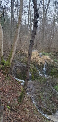 Elfengrund-Wasserfall und Konsul's Grab