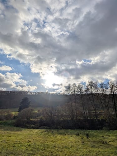 Durch den Konzer Wald