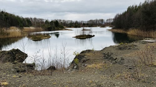 Holzhäuser - Badehaus - Grünfelder Park