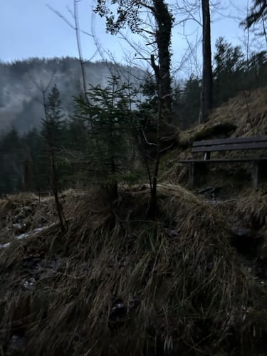 Rampoldplatte