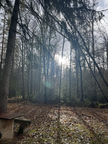 Speinshart-Barbaraberg