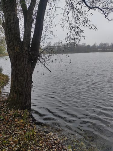 Nersingen - Leibi (Landkreis Neu-Ulm Tour Nr. 32)