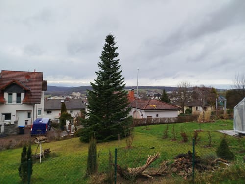 Bad König 6: Momart-Weg