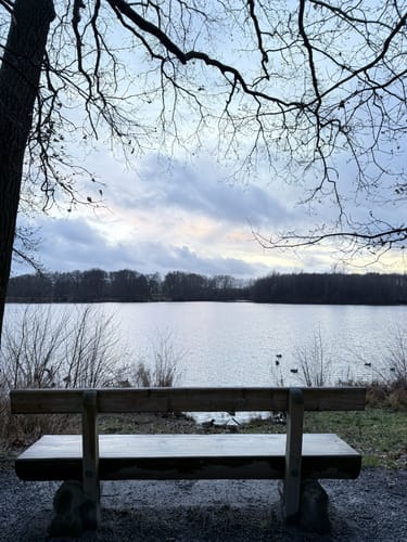 Um den Rubbenbruchsee