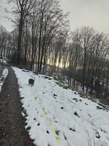 Wacholderweg (Eckenhagen Nr. 12)