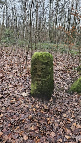 Werbelner Geschichtenweg