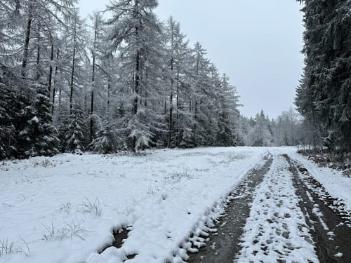 Moore-Pfad Schneifel (Premiumwanderweg)