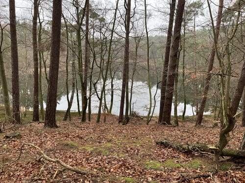 Um den Wolgastsee