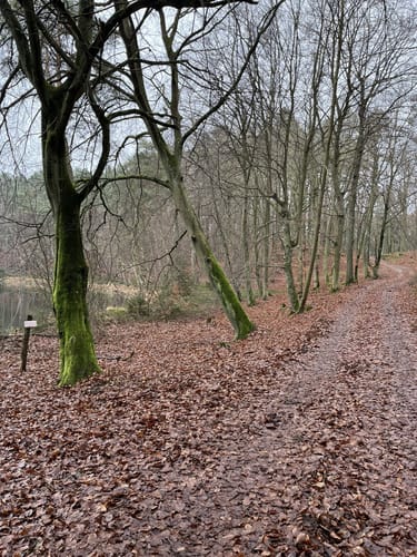 Um den Wolgastsee
