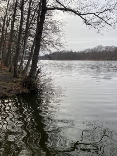 Dahlewitzer Heide