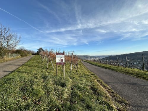 Knausbiraweg