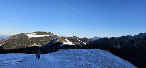 Steinbergalm und Bründlingalm