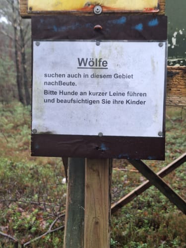 Glockenschlag und Surensand ab Werpeloh