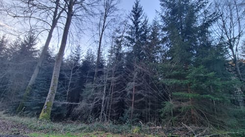 Durch das Wildromantische Monbachtal