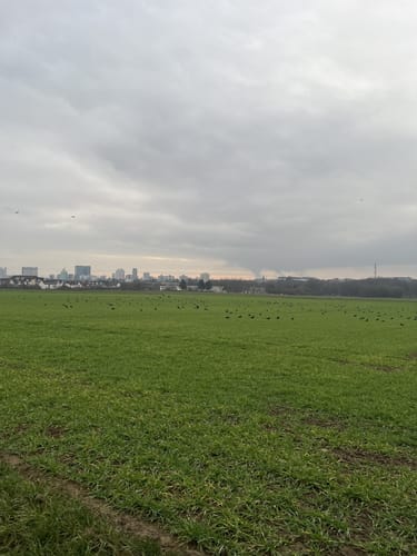 Skulpturenpark Niederhöchstadt ab Mühlenpark Eschborn