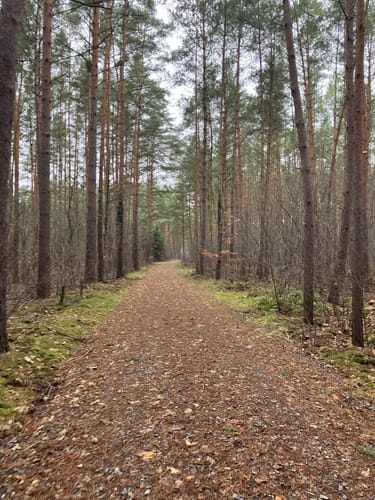 Schönewalder Runde