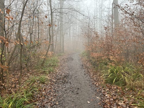 Dreibergerunde Kernen - Kappelberg - Württemberg