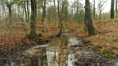 Gut Wulksfelde Rundweg
