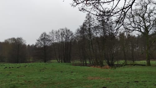 Gut Wulksfelde Rundweg