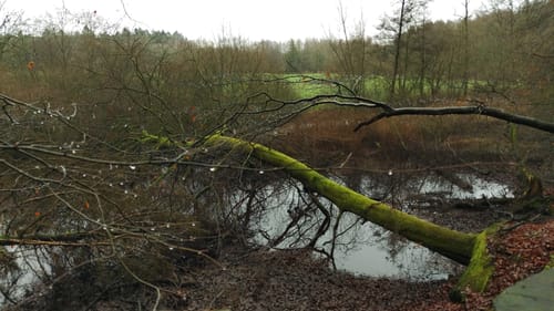 Gut Wulksfelde Rundweg