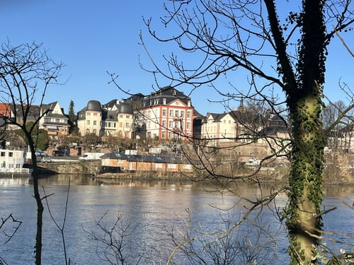 Durch die Schwanheimer Düne