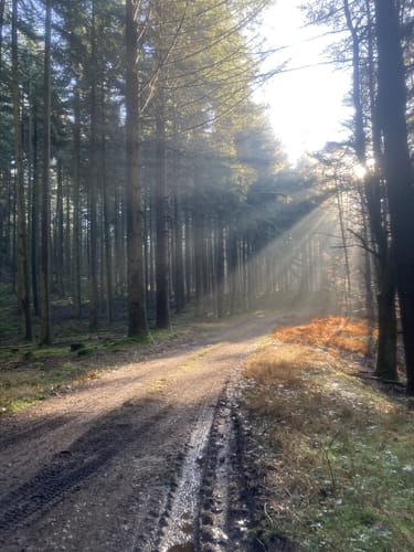 Schankweiler (Naturpark Südeifel Wanderweg 52)