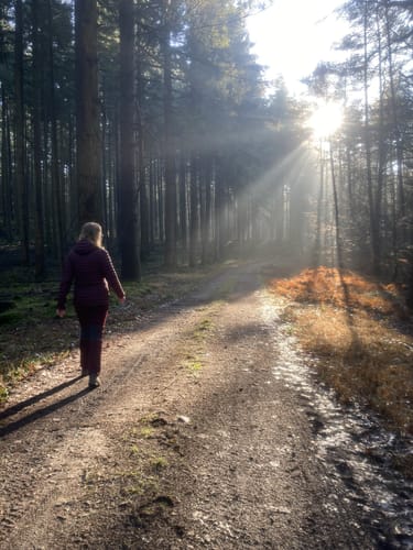 Schankweiler (Naturpark Südeifel Wanderweg 52)