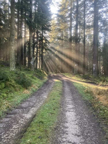 Schankweiler (Naturpark Südeifel Wanderweg 52)