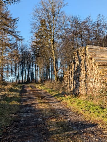 Rundwanderweg Büren-Harth