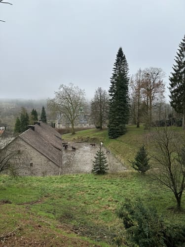 Rundwanderweg ET8: Schloss Hämelschenburg - Amelgatzen - Emmerauen