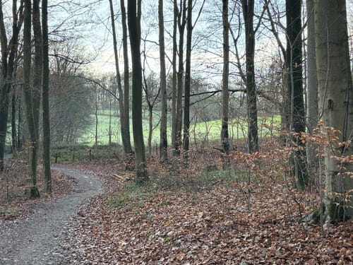 Megamarsch Köln 2022