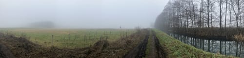 In Wald und Flur bei Finkenkrug