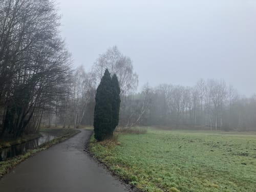 In Wald und Flur bei Finkenkrug