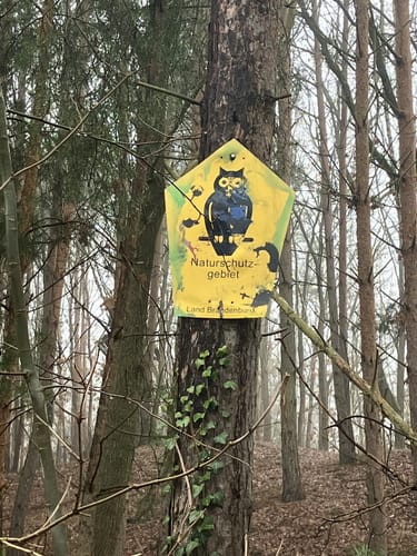 In Wald und Flur bei Finkenkrug