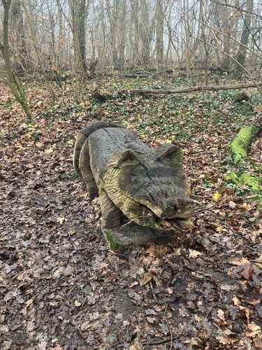 In Wald und Flur bei Finkenkrug