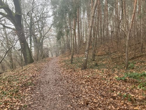 In Wald und Flur bei Finkenkrug