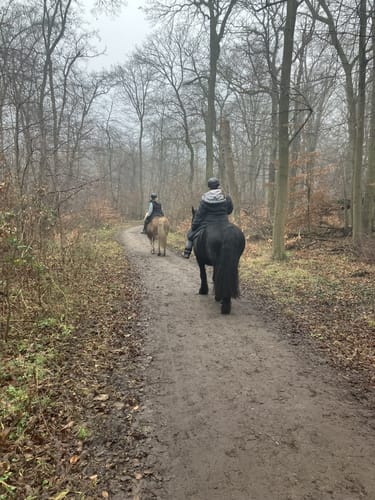 In Wald und Flur bei Finkenkrug