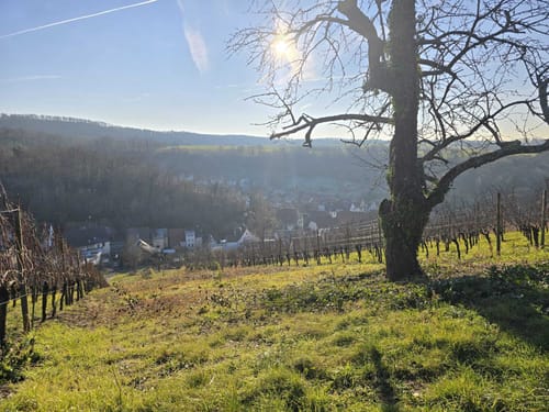 Panorama-Rundwanderweg Freudenstein-Hohenklingen
