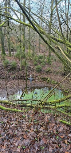 Bismarckeiche Rundweg A4 (Rund um Meiswinkel)