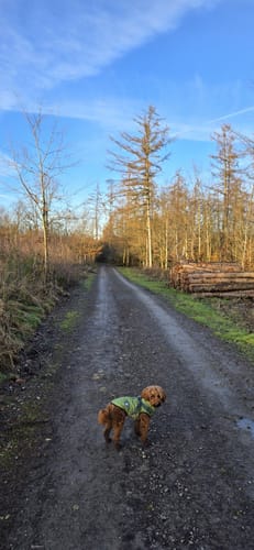 Bismarckeiche Rundweg A4 (Rund um Meiswinkel)